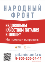 Баннер "Народный фронт".